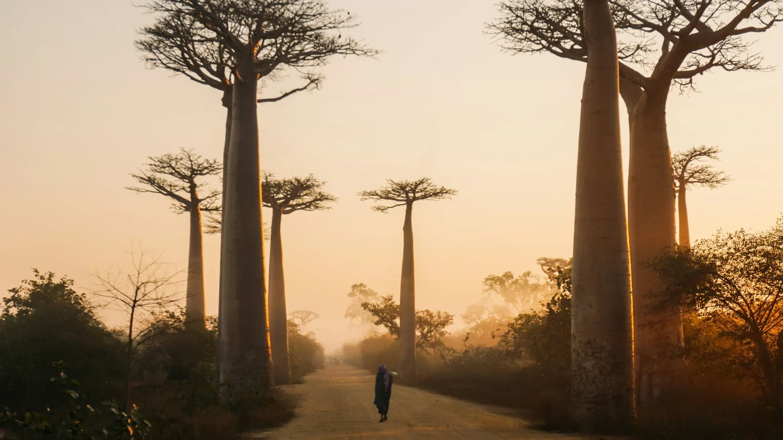 Madagascar