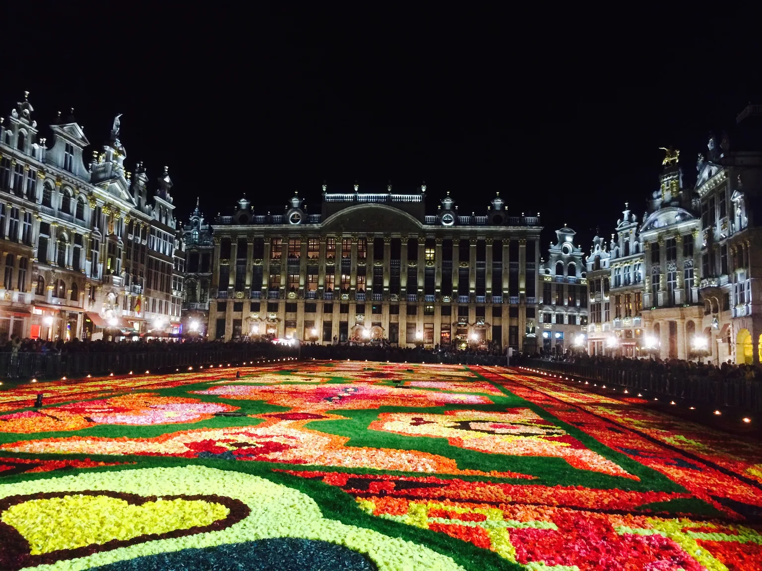 Brussels Flower Carpet
