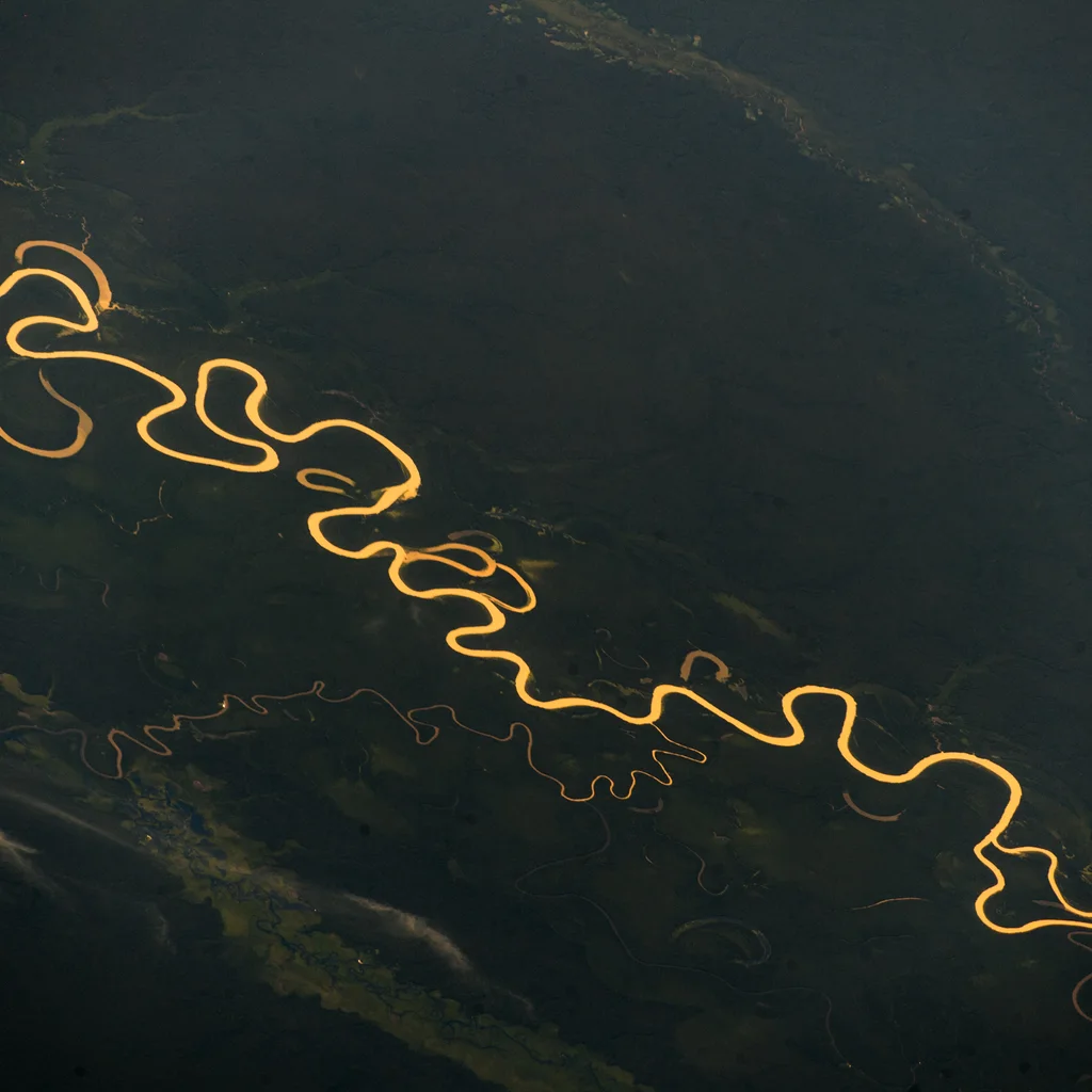 Amazon Rainforest