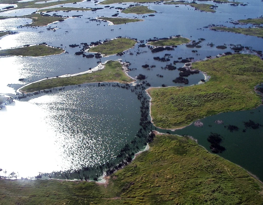 Pantanal