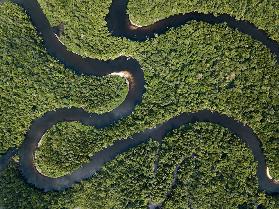 Cardamom Mountains