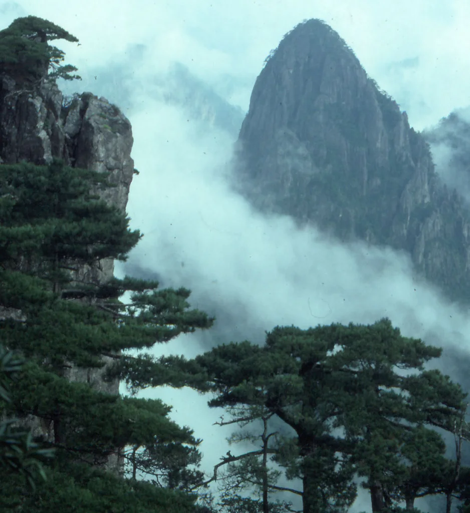 Yellow Mountain