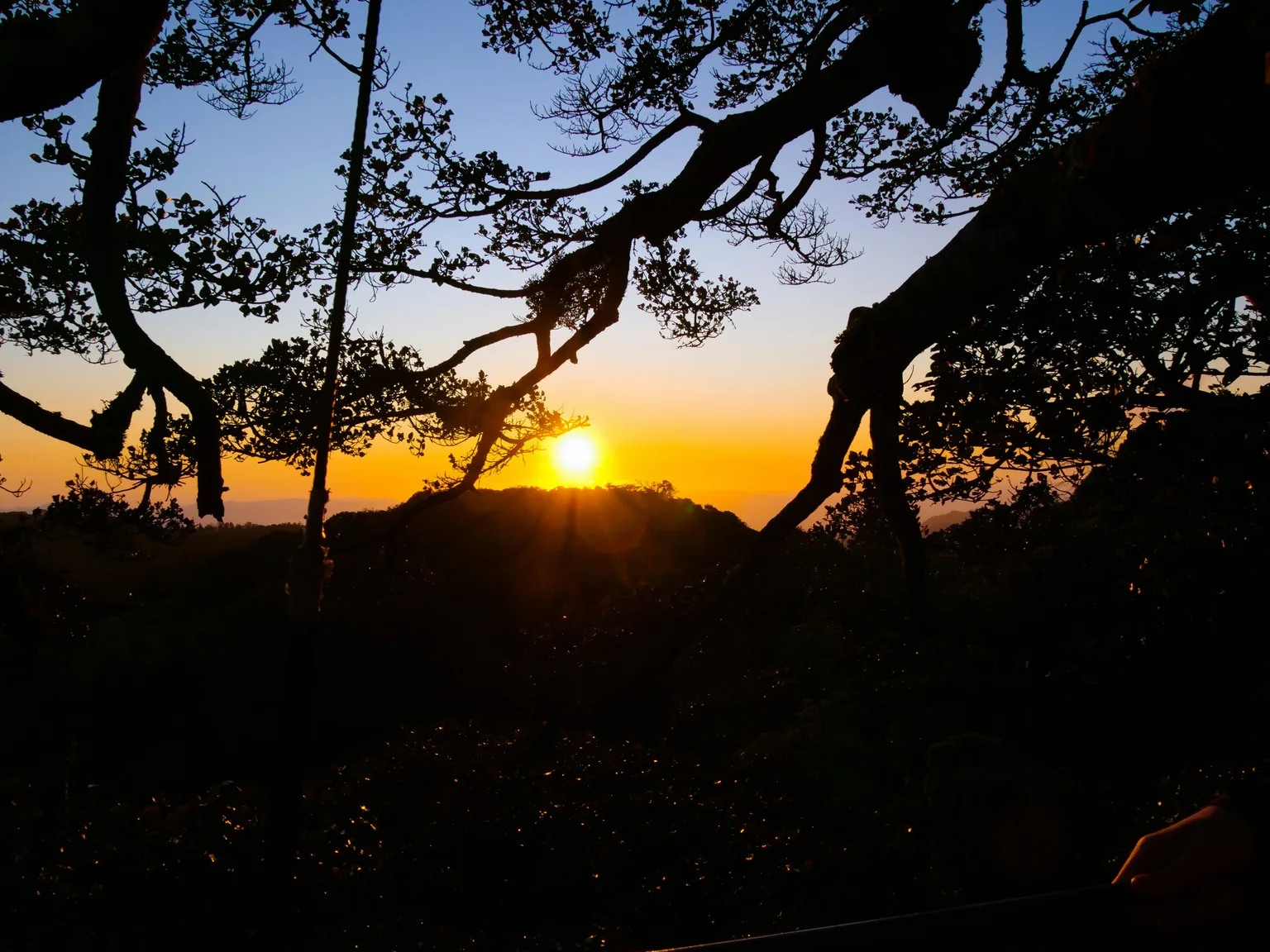 Monteverde Cloud Forest