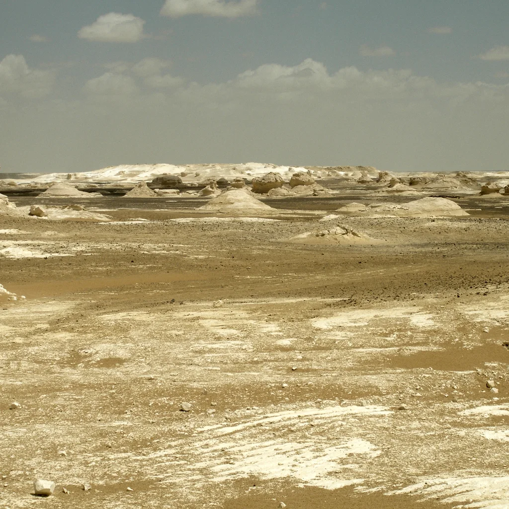 White Desert