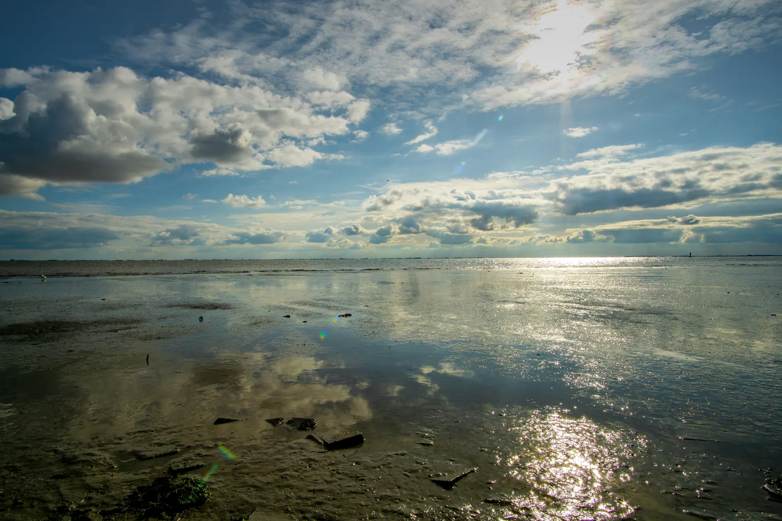 Wadden Sea