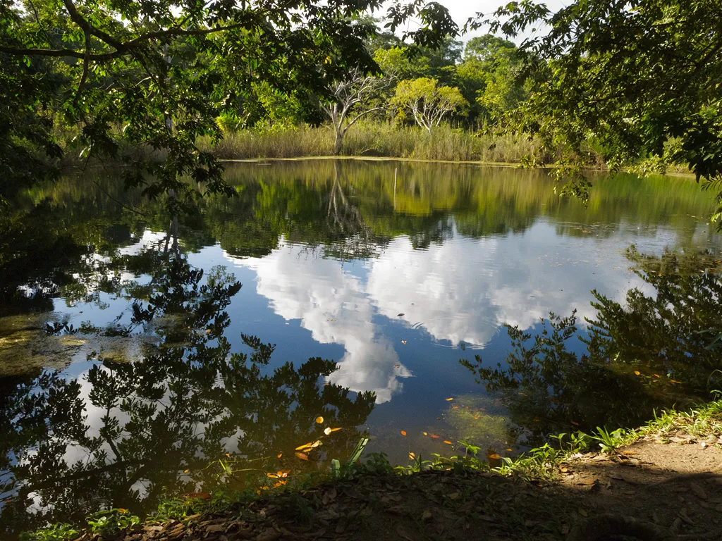 Tikal National Park