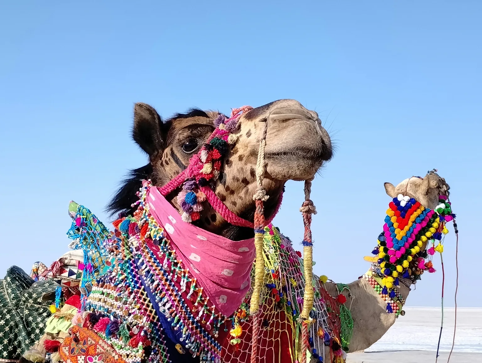 Rann of Kutch