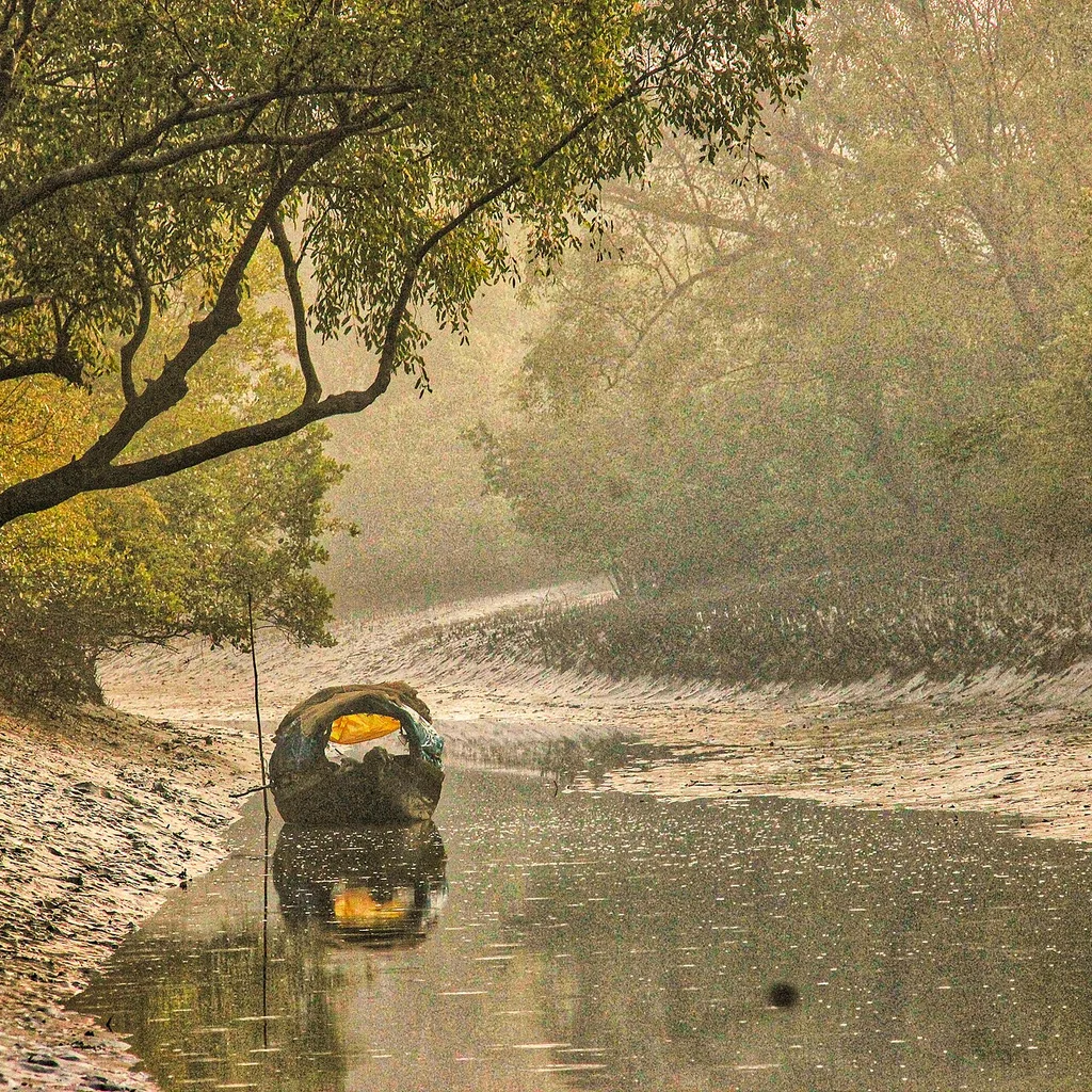Sundarbans