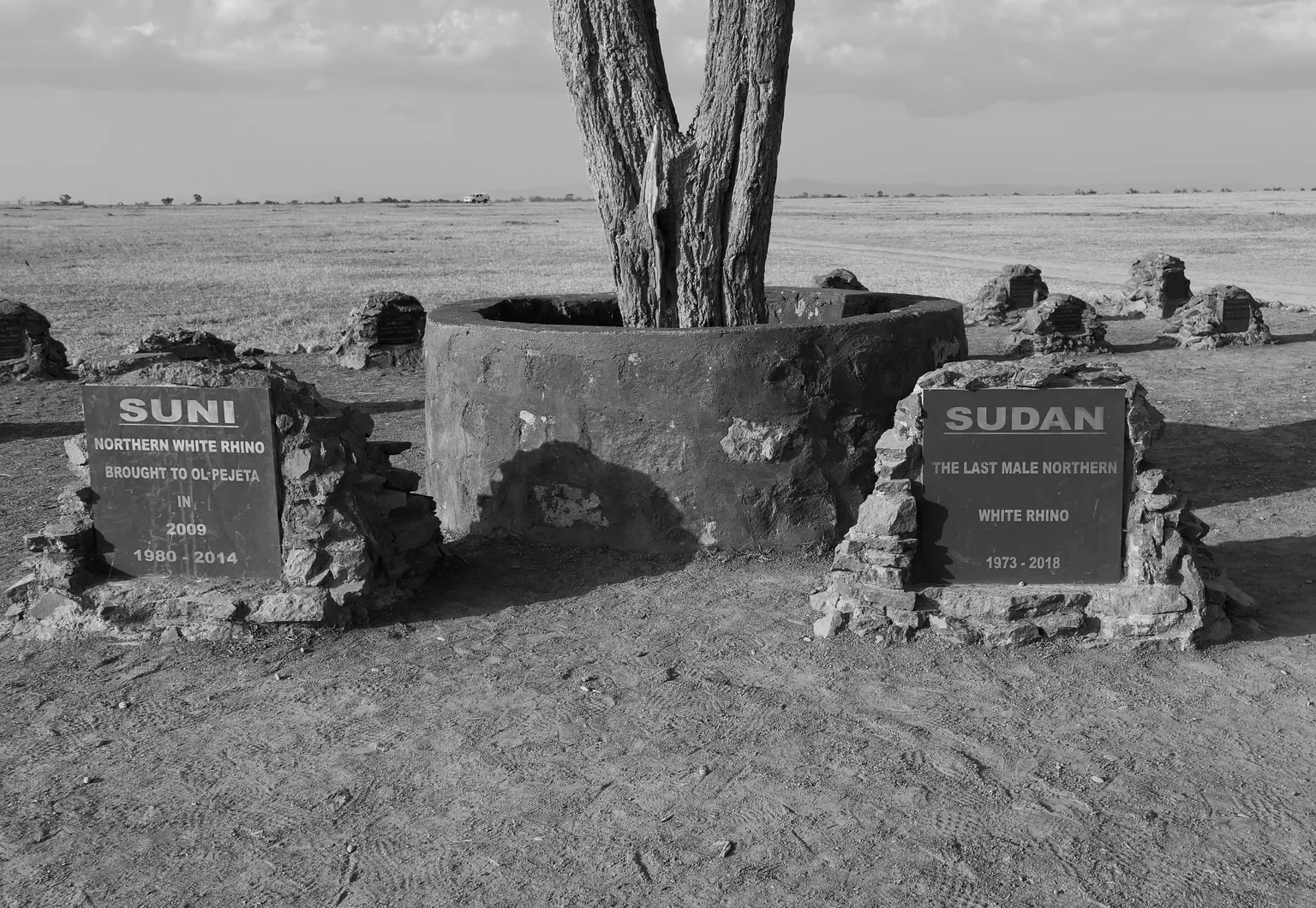 Gede Ruins