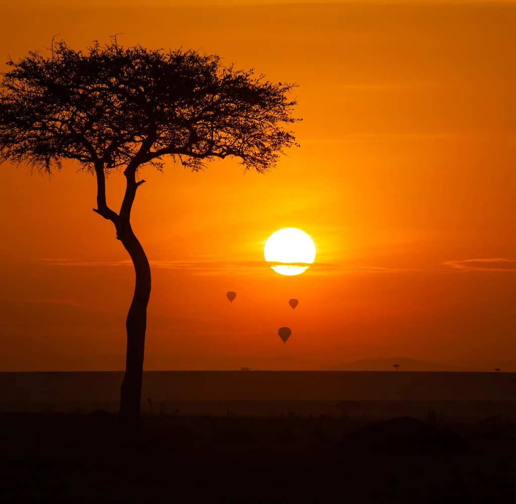 Maasai Mara National Reserve