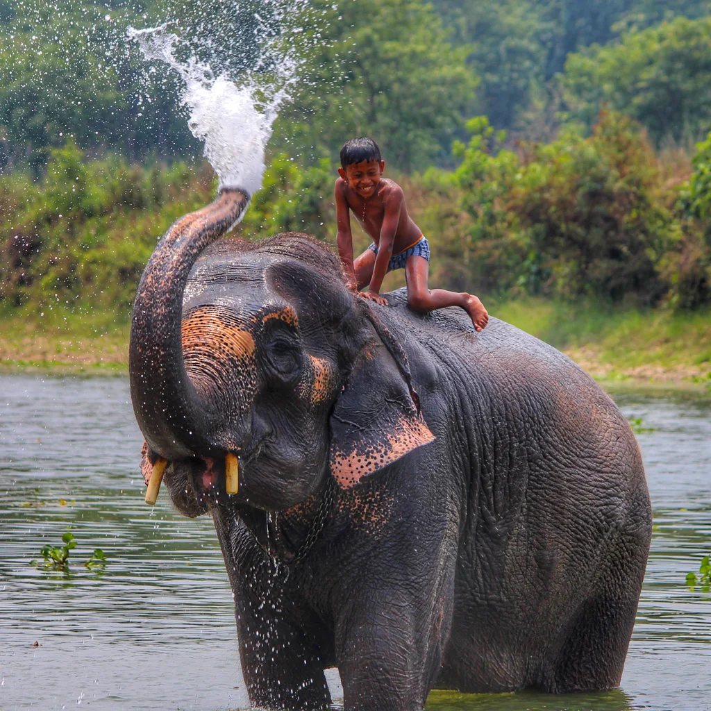 Chitwan National Park