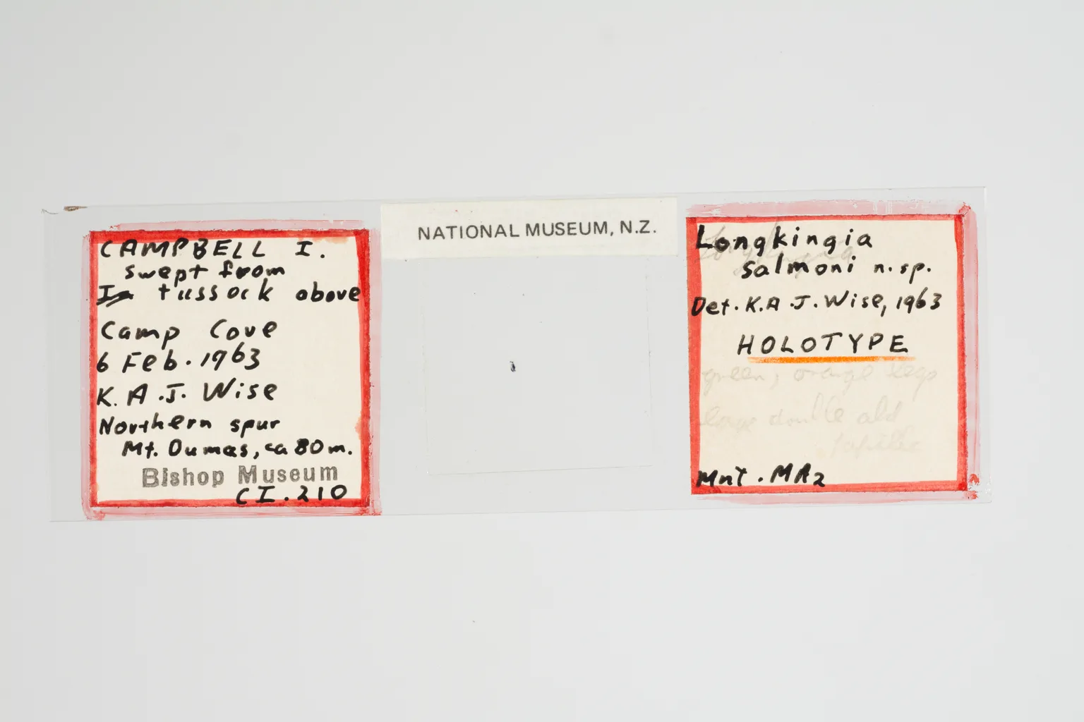 Te Papa Tongarewa - Museum of New Zealand