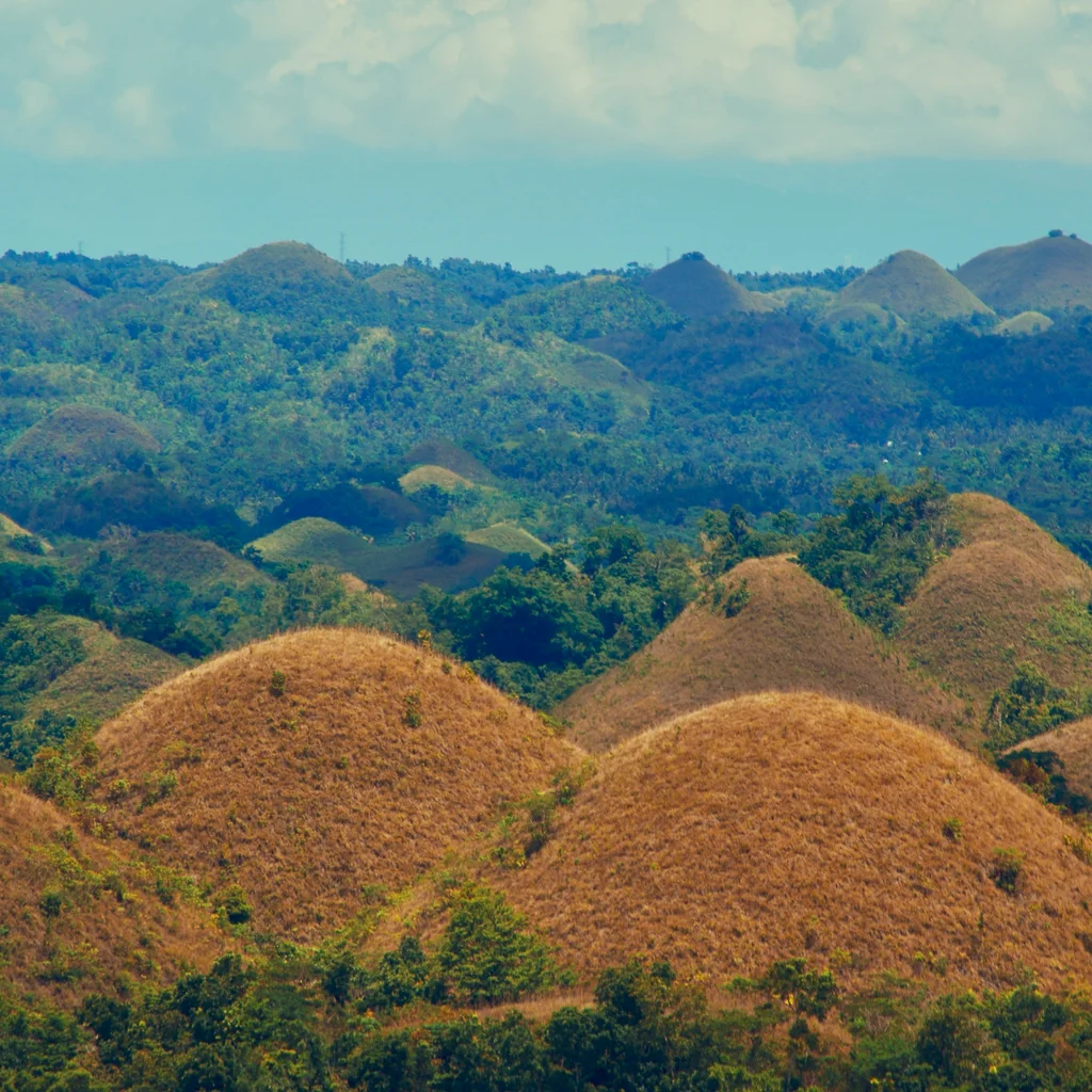 Chocolate Hills