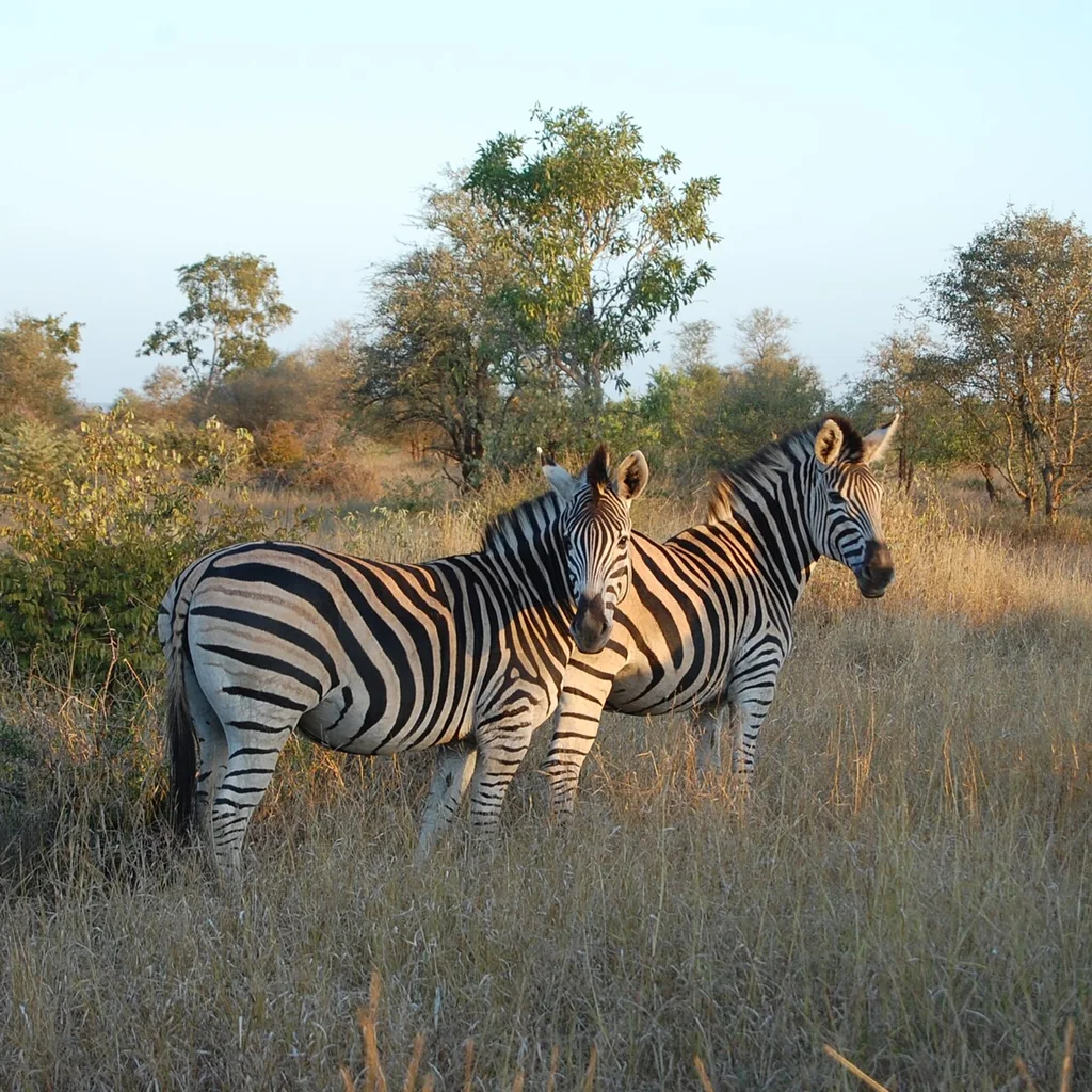 Kruger National Park