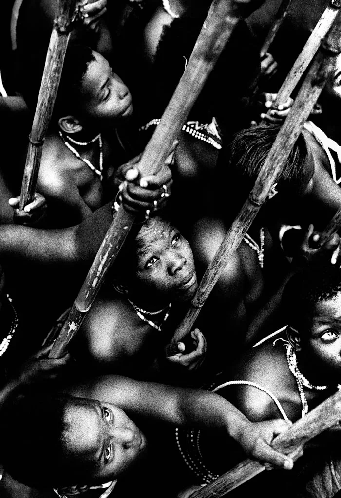 Zulu Reed Dance