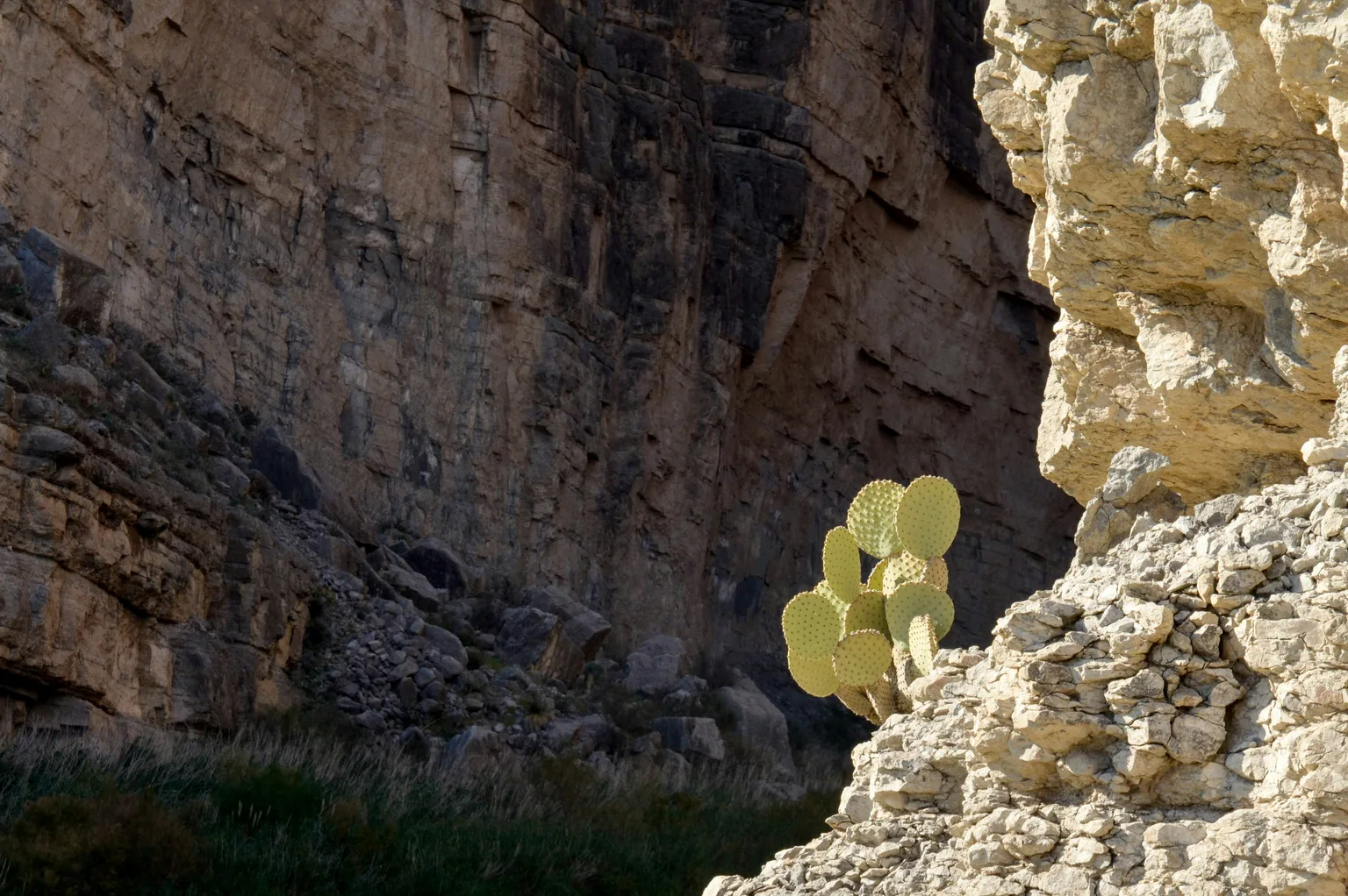 Big Bend National Park