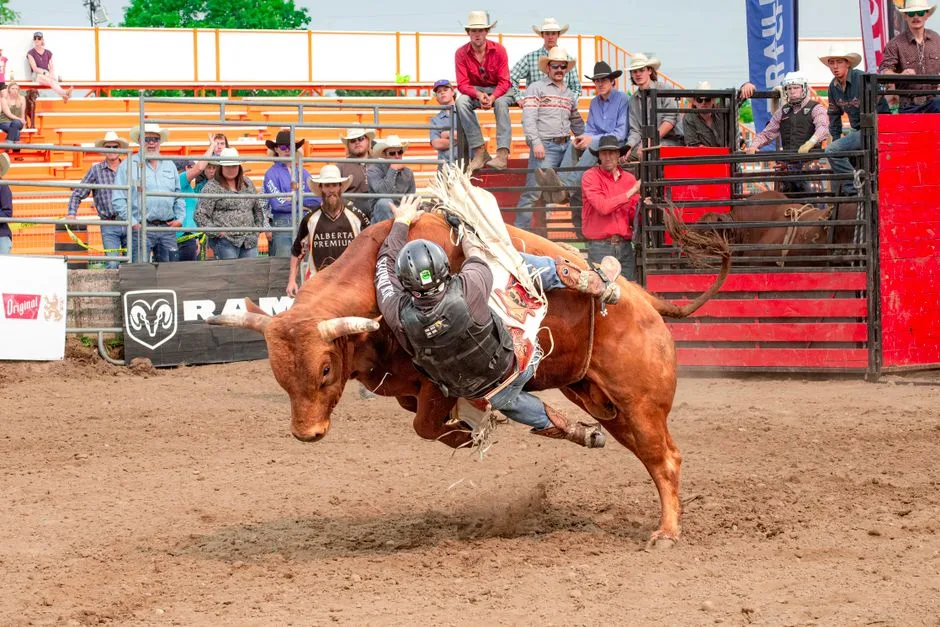 Traditions of Texas