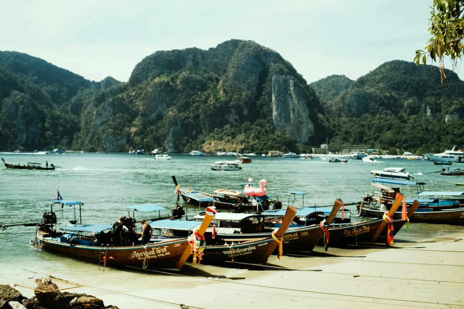 Phi Phi Islands