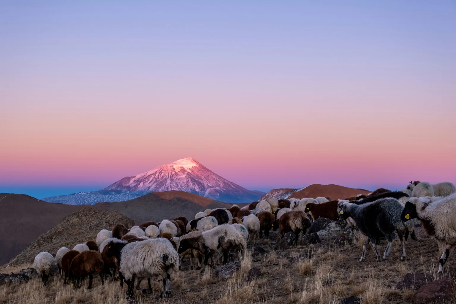 Mount Ararat