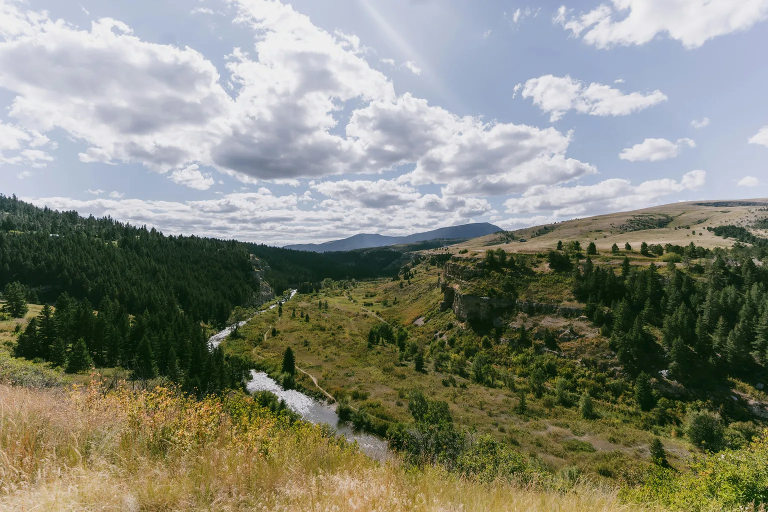 Yellowstone National Park