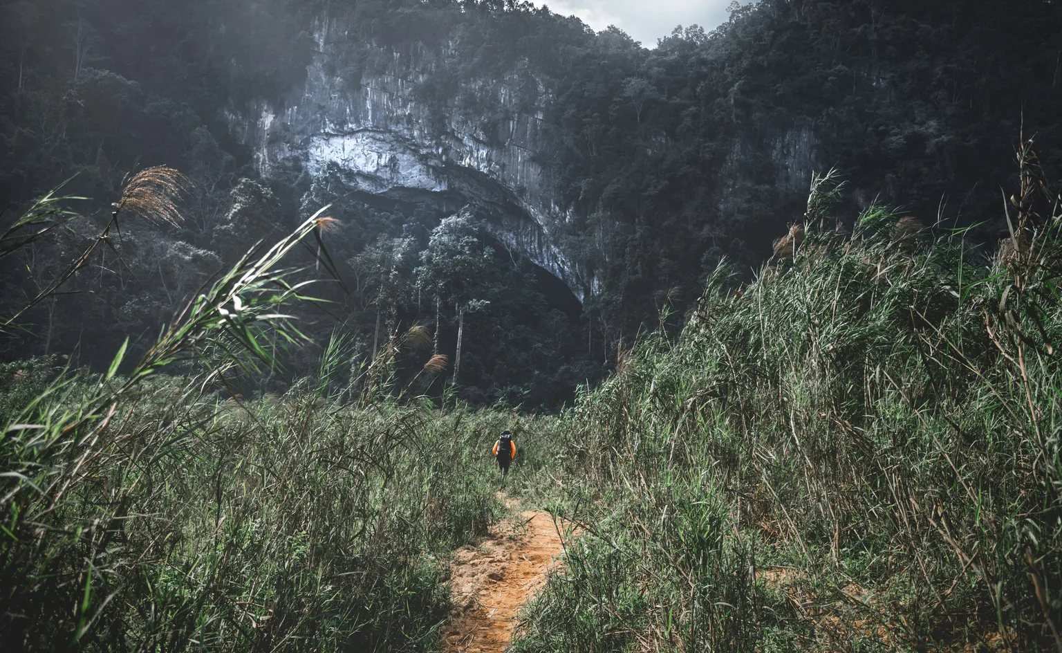 Son Doong Cave